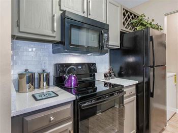 Black Kitchen Appliances at The Parkway at Hunters Creek, Orlando, FL, 32837